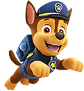 paw
